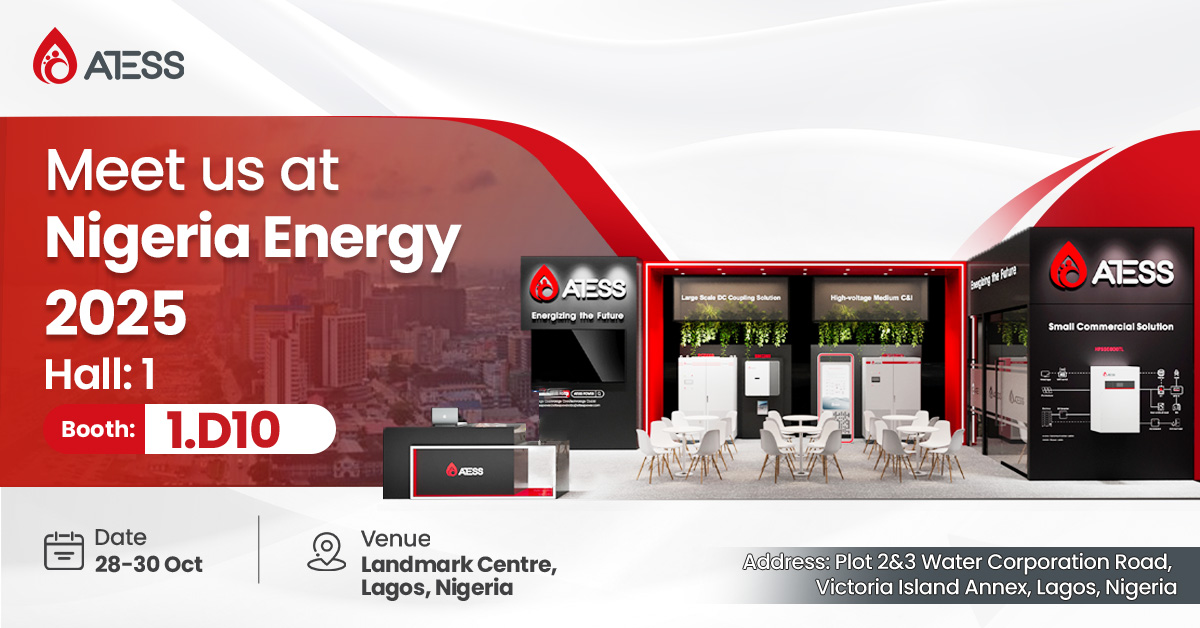 Nigeria Energy 2025